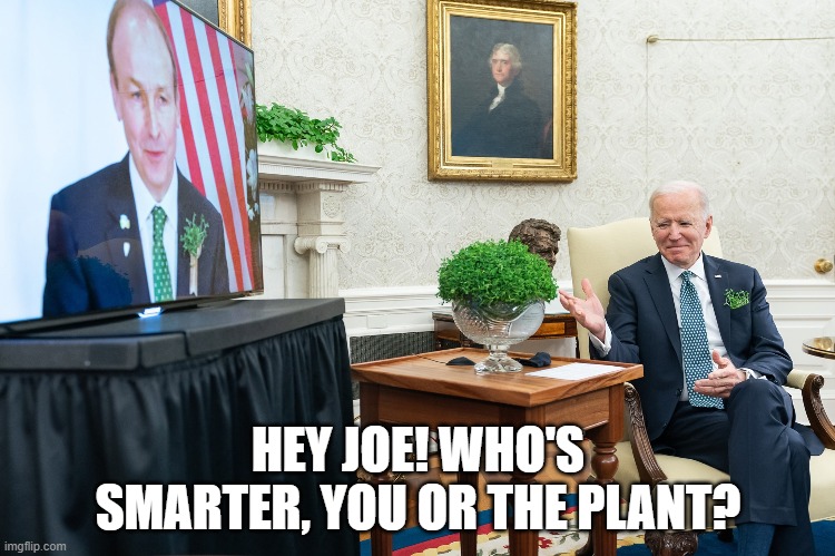 POTUS or DOOFUS? | HEY JOE! WHO'S SMARTER, YOU OR THE PLANT? | image tagged in joe biden | made w/ Imgflip meme maker