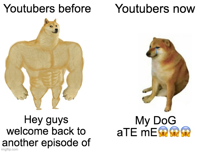 Youtubers | Youtubers before; Youtubers now; Hey guys welcome back to another episode of; My DoG aTE mE😱😱😱 | image tagged in memes,buff doge vs cheems,youtubers,youtube | made w/ Imgflip meme maker