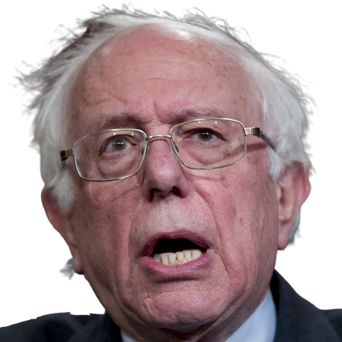 Bernie sanders head 2 png Blank Meme Template