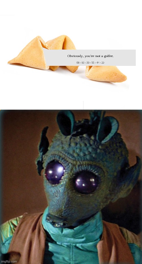 image tagged in greedo say what | made w/ Imgflip meme maker