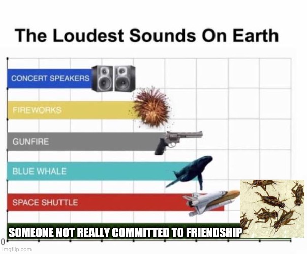 Who needs friends | SOMEONE NOT REALLY COMMITTED TO FRIENDSHIP | image tagged in the loudest sounds on earth | made w/ Imgflip meme maker