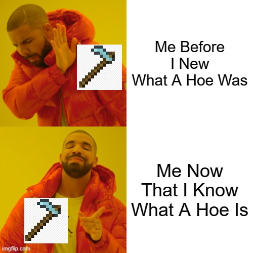 True Tho | Me Before I New What A Hoe Was; Me Now That I Know What A Hoe Is | image tagged in memes,drake hotline bling | made w/ Imgflip meme maker