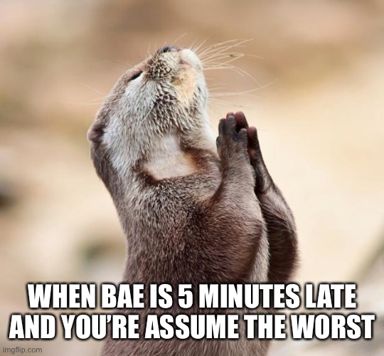 When bae is 5 minutes late and you assume the worst | WHEN BAE IS 5 MINUTES LATE AND YOU’RE ASSUME THE WORST | image tagged in animal praying | made w/ Imgflip meme maker
