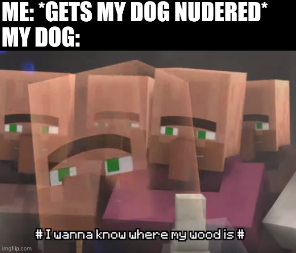 ME: *GETS MY DOG NUDERED*
MY DOG: | image tagged in where'd my wood go | made w/ Imgflip meme maker