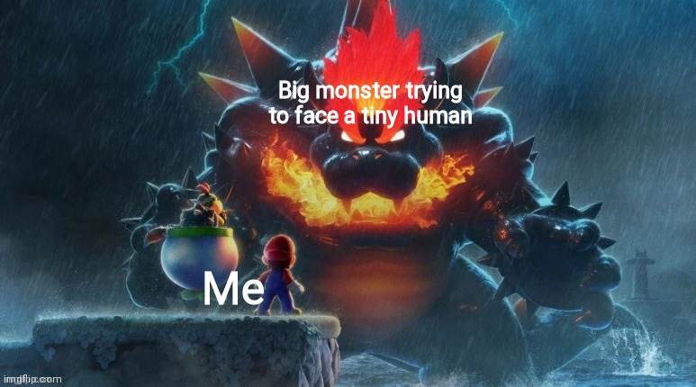 Bowser's Fury | Big monster trying to face a tiny human; Me | image tagged in bowser's fury | made w/ Imgflip meme maker