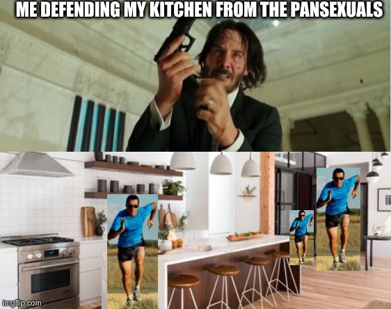 ME DEFENDING MY KITCHEN FROM THE PANSEXUALS | image tagged in john wick gun,memes | made w/ Imgflip meme maker
