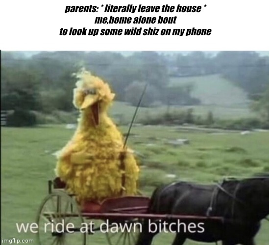 We ride at dawn bitches | parents: * literally leave the house *
me,home alone bout to look up some wild shiz on my phone | image tagged in we ride at dawn bitches | made w/ Imgflip meme maker
