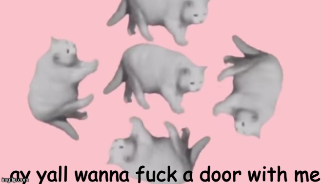 i like lowkey wanna shove my cock in a doors tight ass | ay yall wanna fuck a door with me | image tagged in he | made w/ Imgflip meme maker