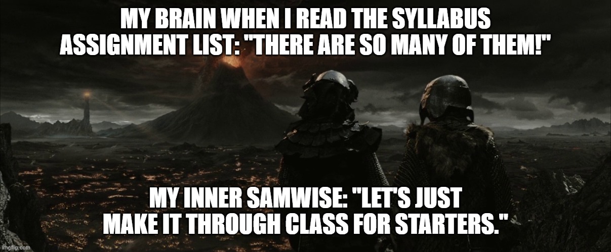 Reading the Syllabus | MY BRAIN WHEN I READ THE SYLLABUS ASSIGNMENT LIST: "THERE ARE SO MANY OF THEM!"; MY INNER SAMWISE: "LET'S JUST MAKE IT THROUGH CLASS FOR STARTERS." | image tagged in college,lotr | made w/ Imgflip meme maker