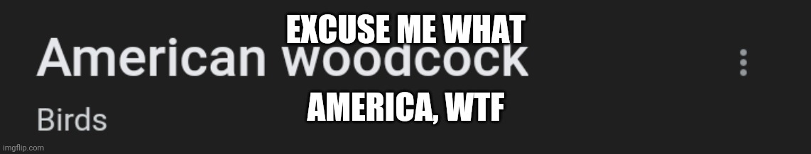 EXCUSE ME WHAT; AMERICA, WTF | made w/ Imgflip meme maker