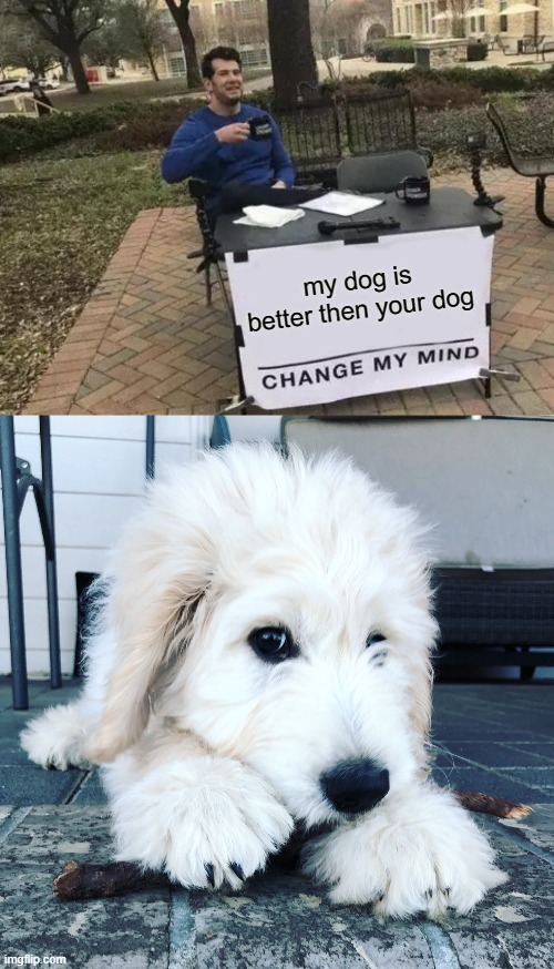 meet henry | my dog is better then your dog | image tagged in memes,change my mind,dog,doggo,puppy,cute puppies | made w/ Imgflip meme maker