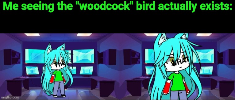 The WHAT | Me seeing the "woodcock" bird actually exists: | image tagged in the what | made w/ Imgflip meme maker