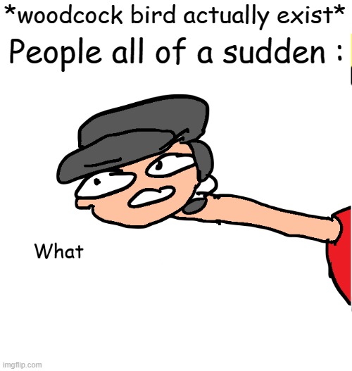 what | People all of a sudden :; *woodcock bird actually exist* | image tagged in what | made w/ Imgflip meme maker