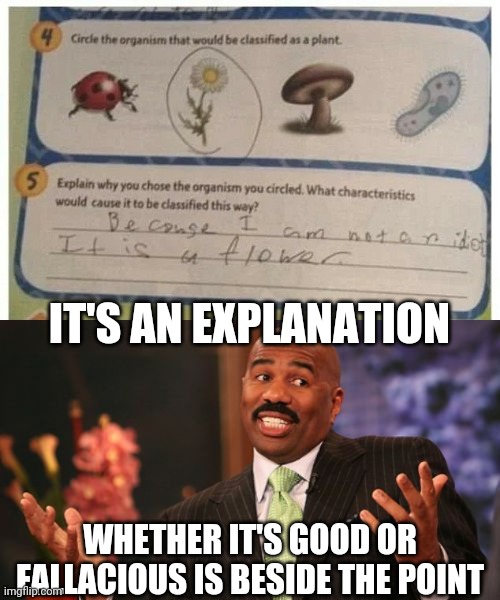 Lol | IT'S AN EXPLANATION; WHETHER IT'S GOOD OR FALLACIOUS IS BESIDE THE POINT | image tagged in memes,steve harvey,funny,sarcasm,smort,kids | made w/ Imgflip meme maker