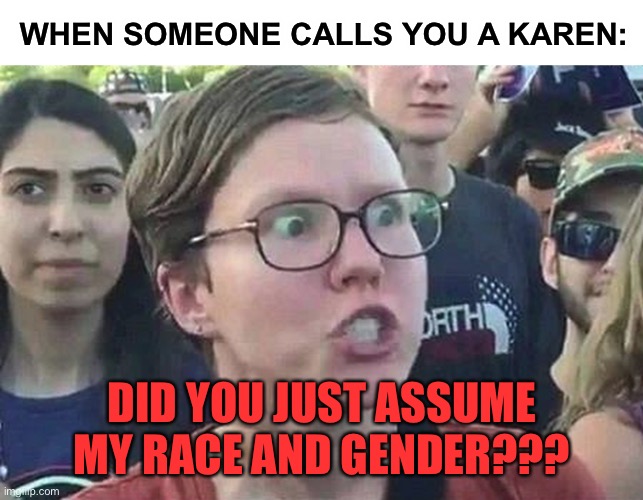 Using liberal sayings to “validate” offense with a liberal insult | WHEN SOMEONE CALLS YOU A KAREN:; DID YOU JUST ASSUME MY RACE AND GENDER??? | image tagged in triggered liberal,funny,karen,did you just assume my gender | made w/ Imgflip meme maker