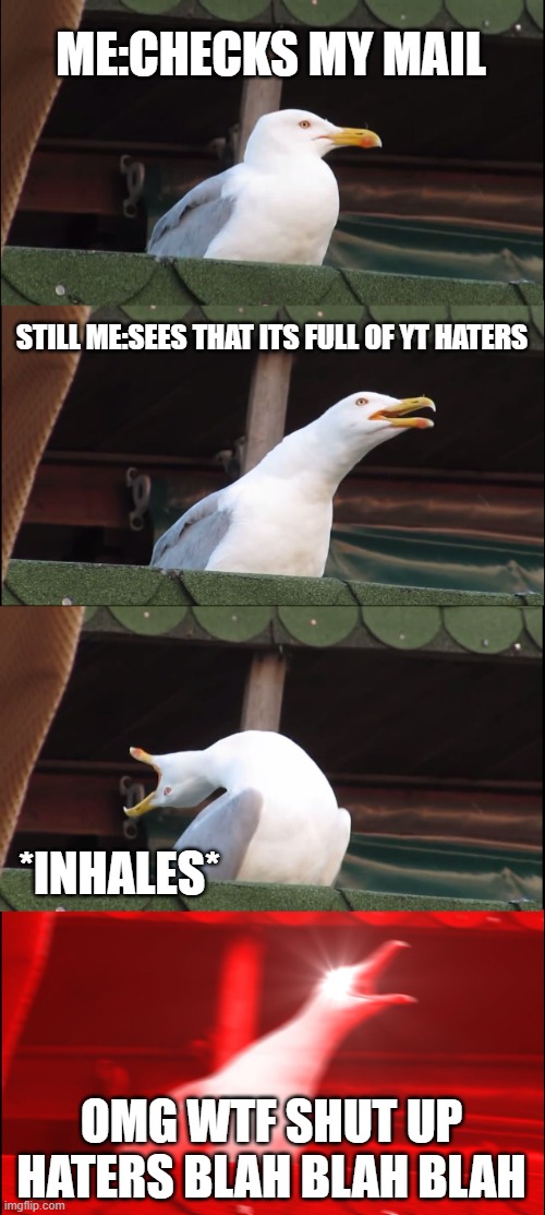 Possibly the life of atleast 1 YouTuber | ME:CHECKS MY MAIL; STILL ME:SEES THAT ITS FULL OF YT HATERS; *INHALES*; OMG WTF SHUT UP HATERS BLAH BLAH BLAH | image tagged in memes,inhaling seagull | made w/ Imgflip meme maker