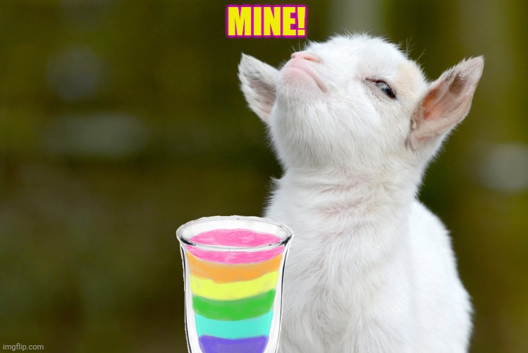 Baby goat finds rainbow milk! | MINE! | image tagged in proud baby goat,rainbow,milk,dew it | made w/ Imgflip meme maker