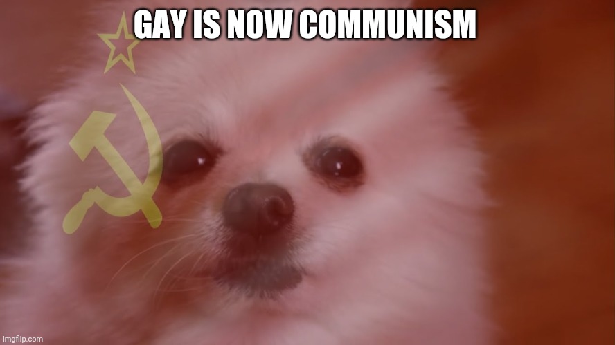 GAY IS NOW COMMUNISM | made w/ Imgflip meme maker