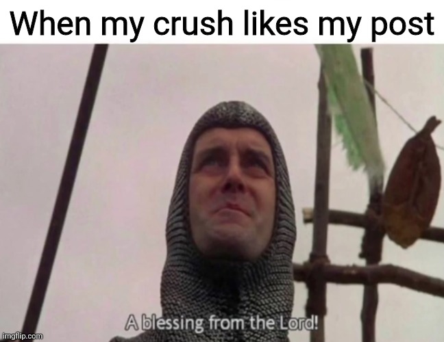 I don't have a crush at the moment, but a meme is a meme. | When my crush likes my post | image tagged in a blessing from the lord,monty python and the holy grail,crush | made w/ Imgflip meme maker