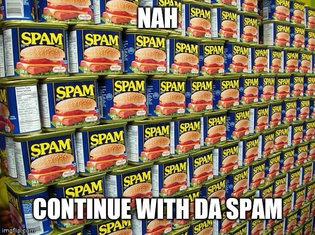 Spam, Delicous | NAH CONTINUE WITH DA SPAM | image tagged in spam delicous | made w/ Imgflip meme maker