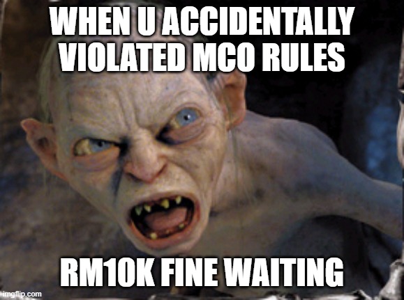 Gollum lord of the rings | WHEN U ACCIDENTALLY VIOLATED MCO RULES; RM10K FINE WAITING | image tagged in gollum lord of the rings | made w/ Imgflip meme maker