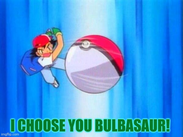 I choose you! | I CHOOSE YOU BULBASAUR! | image tagged in i choose you | made w/ Imgflip meme maker