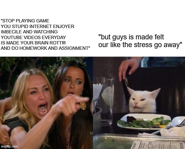 Woman Yelling At Cat Meme | "STOP PLAYING GAME YOU STUPID INTERNET ENJOYER IMBECILE AND WATCHING YOUTUBE VIDEOS EVERYDAY IS MADE YOUR BRAIN ROTT!!! AND DO HOMEWORK AND ASSIGNMENT"; "but guys is made felt our like the stress go away" | image tagged in memes,woman yelling at cat,real life | made w/ Imgflip meme maker