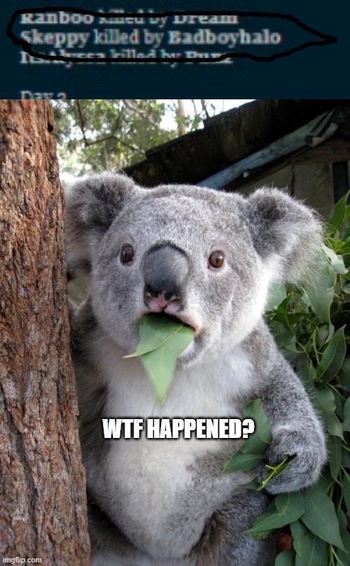 wait what? | WTF HAPPENED? | image tagged in memes,surprised koala | made w/ Imgflip meme maker