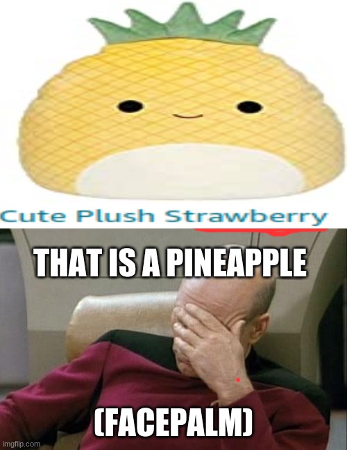 THAT IS A PINEAPPLE; (FACEPALM) | image tagged in memes,captain picard facepalm | made w/ Imgflip meme maker