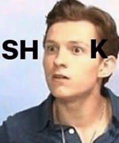 Tom Holland SHOOK Blank Meme Template