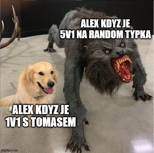 dog vs werewolf | ALEX KDYZ JE 5V1 NA RANDOM TYPKA; ALEX KDYZ JE 1V1 S TOMASEM | image tagged in dog vs werewolf | made w/ Imgflip meme maker