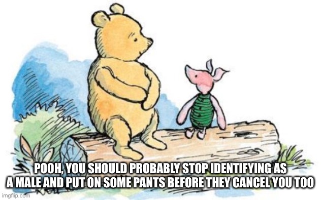 Poor Pooh, his time is coming. | POOH, YOU SHOULD PROBABLY STOP IDENTIFYING AS A MALE AND PUT ON SOME PANTS BEFORE THEY CANCEL YOU TOO | image tagged in winnie the pooh and piglet,cancel culture | made w/ Imgflip meme maker
