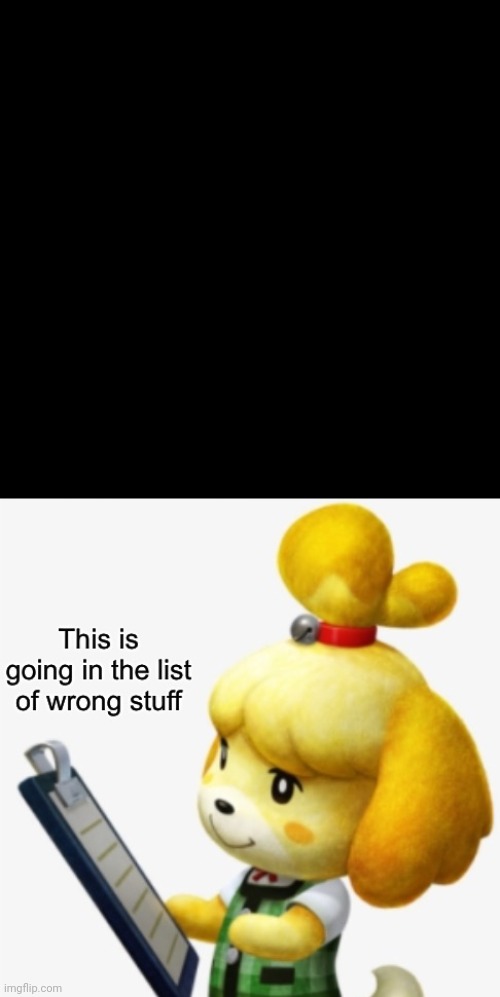 Wrong stuff list Blank Meme Template