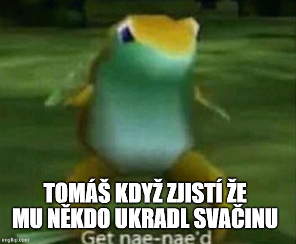 Get nae-nae'd | TOMÁŠ KDYŽ ZJISTÍ ŽE MU NĚKDO UKRADL SVAČINU | image tagged in get nae-nae'd | made w/ Imgflip meme maker