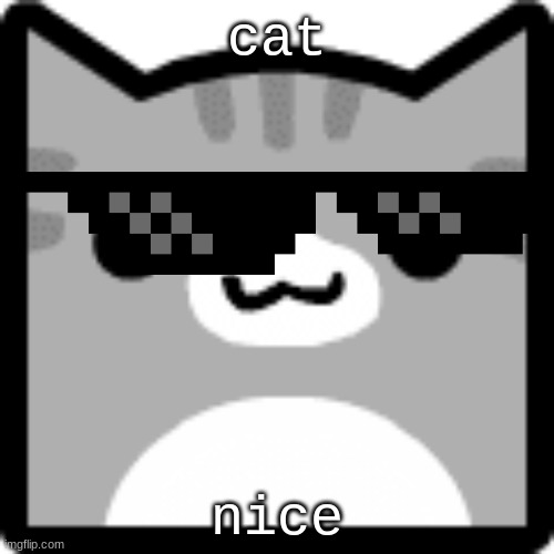 CAT | cat; nice | image tagged in cat,cats,funny meme cat,sunglasses cat | made w/ Imgflip meme maker