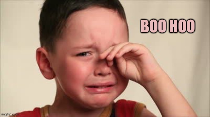 Crying kid | BOO HOO | image tagged in crying kid | made w/ Imgflip meme maker