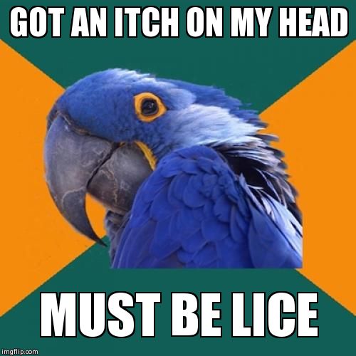 Paranoid Parrot | image tagged in memes,paranoid parrot | made w/ Imgflip meme maker