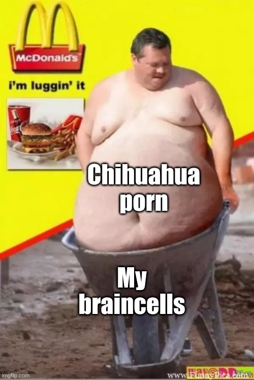 Kacper | Chihuahua porn; My braincells | image tagged in kacper | made w/ Imgflip meme maker