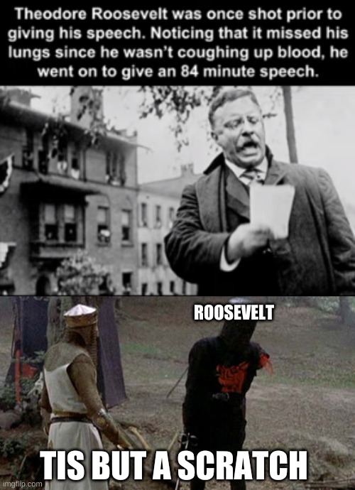 ROOSEVELT; TIS BUT A SCRATCH | image tagged in tis but a scratch | made w/ Imgflip meme maker