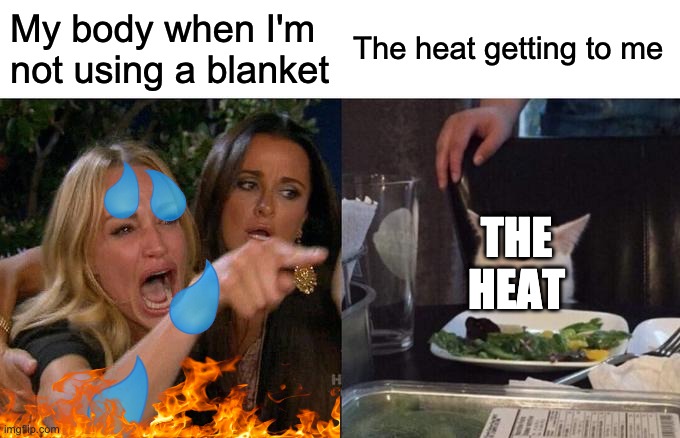 Woman Yelling At Cat Meme | My body when I'm not using a blanket; The heat getting to me; THE
HEAT | image tagged in memes,woman yelling at cat | made w/ Imgflip meme maker