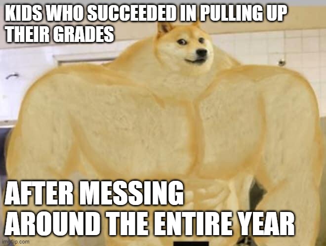 Buff kids | KIDS WHO SUCCEEDED IN PULLING UP
THEIR GRADES; AFTER MESSING AROUND THE ENTIRE YEAR | image tagged in buff doge,school,bad grades,kids,messing around,the entire year | made w/ Imgflip meme maker
