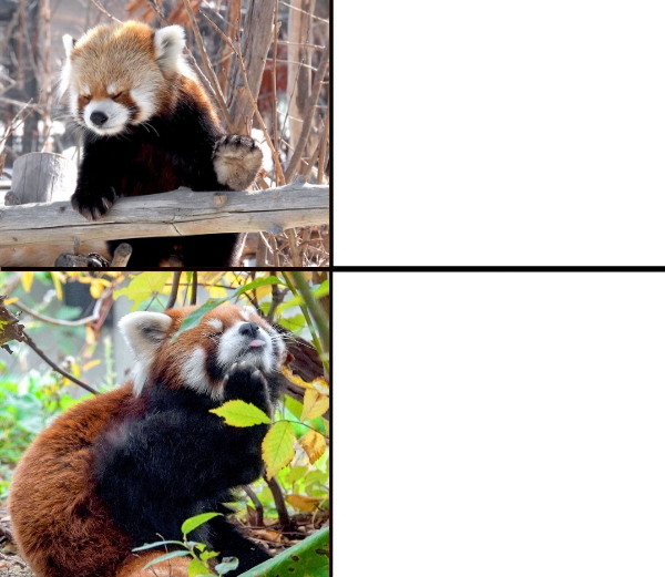 High Quality Red panda approves Blank Meme Template