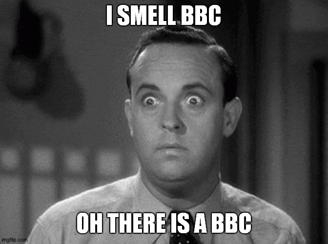There is a BBC | I SMELL BBC; OH THERE IS A BBC | image tagged in bbc | made w/ Imgflip meme maker