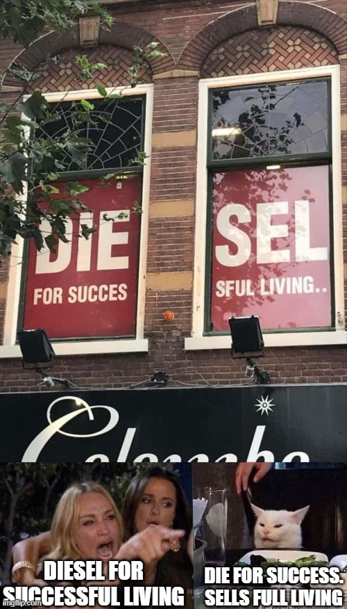 DIESEL FOR SUCCESSFUL LIVING; DIE FOR SUCCESS. SELLS FULL LIVING | image tagged in woman yelling at cat,memes,signs | made w/ Imgflip meme maker
