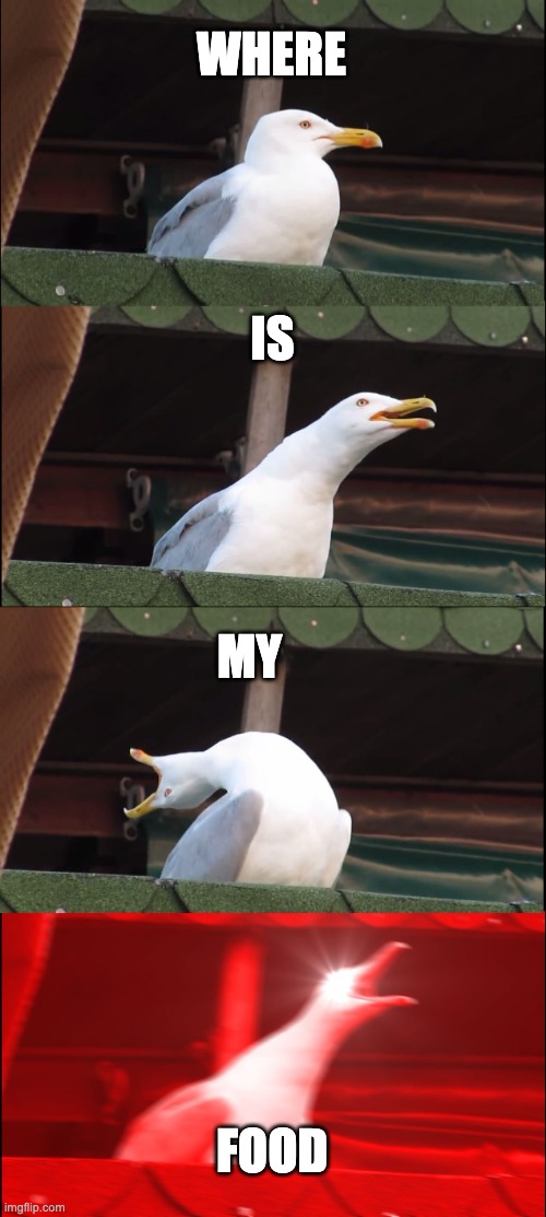 FOOD | WHERE; IS; MY; FOOD | image tagged in memes,inhaling seagull | made w/ Imgflip meme maker