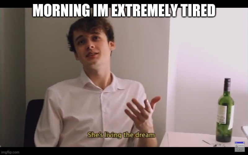 Living the dream | MORNING IM EXTREMELY TIRED | image tagged in living the dream | made w/ Imgflip meme maker