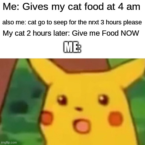 Surprised Pikachu | Me: Gives my cat food at 4 am; also me: cat go to seep for the nrxt 3 hours please; My cat 2 hours later: Give me Food NOW; ME: | image tagged in memes,surprised pikachu | made w/ Imgflip meme maker