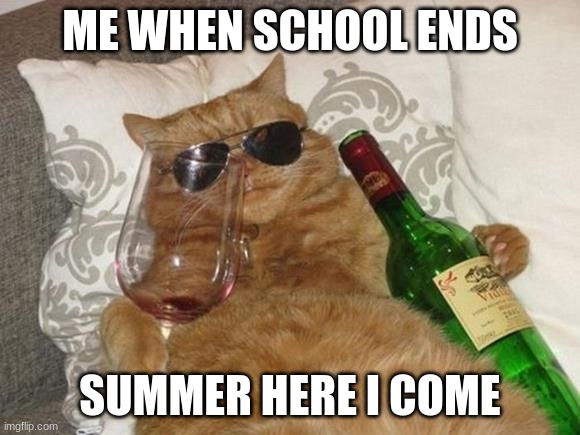 Funny Cat Birthday | ME WHEN SCHOOL ENDS; SUMMER HERE I COME | image tagged in funny cat birthday | made w/ Imgflip meme maker