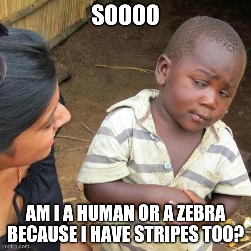 Am I a Zebra? | SOOOO; AM I A HUMAN OR A ZEBRA BECAUSE I HAVE STRIPES TOO? | image tagged in memes,third world skeptical kid | made w/ Imgflip meme maker