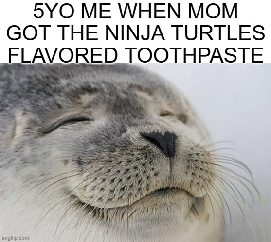 looking back that toothpaste tasted horrible. | 5YO ME WHEN MOM GOT THE NINJA TURTLES FLAVORED TOOTHPASTE | image tagged in memes,satisfied seal,toothpaste,5 yo me | made w/ Imgflip meme maker